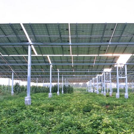 ساختار خورشیدی مزرعه
