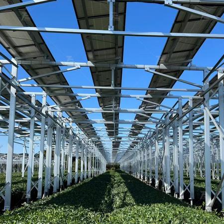 ساختار خورشیدی مزرعه