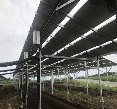سیستم نصب مزرعه خورشیدی ، ژاپن