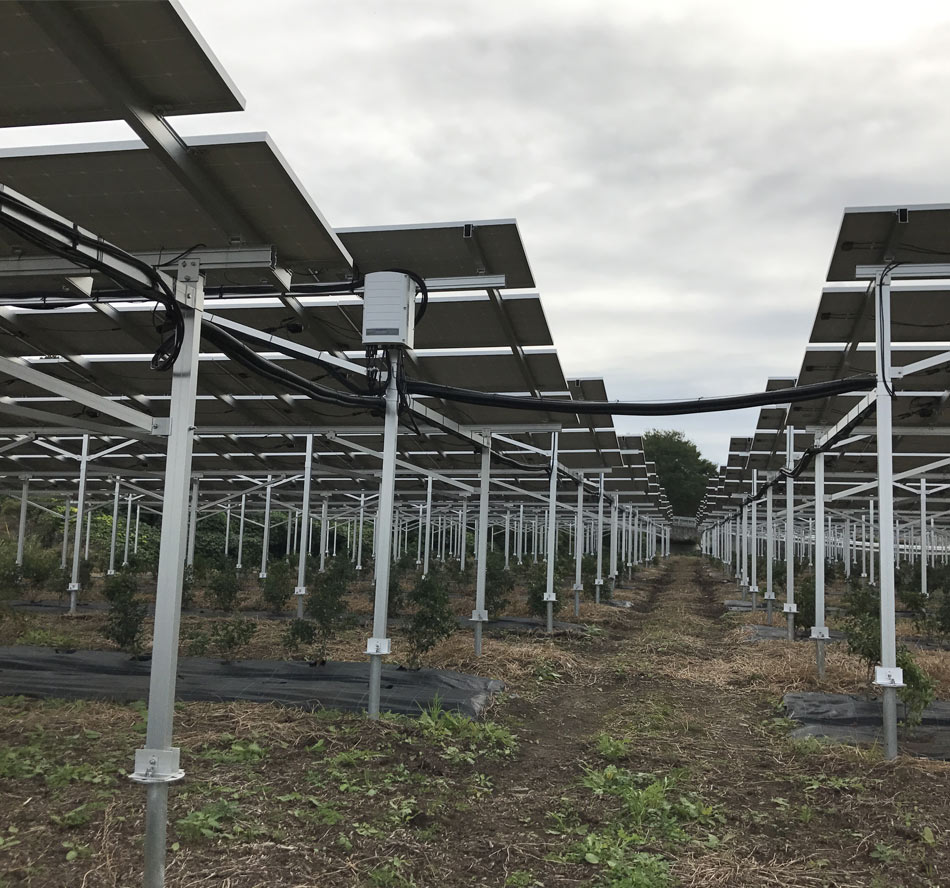 سازه خورشیدی مزرعه